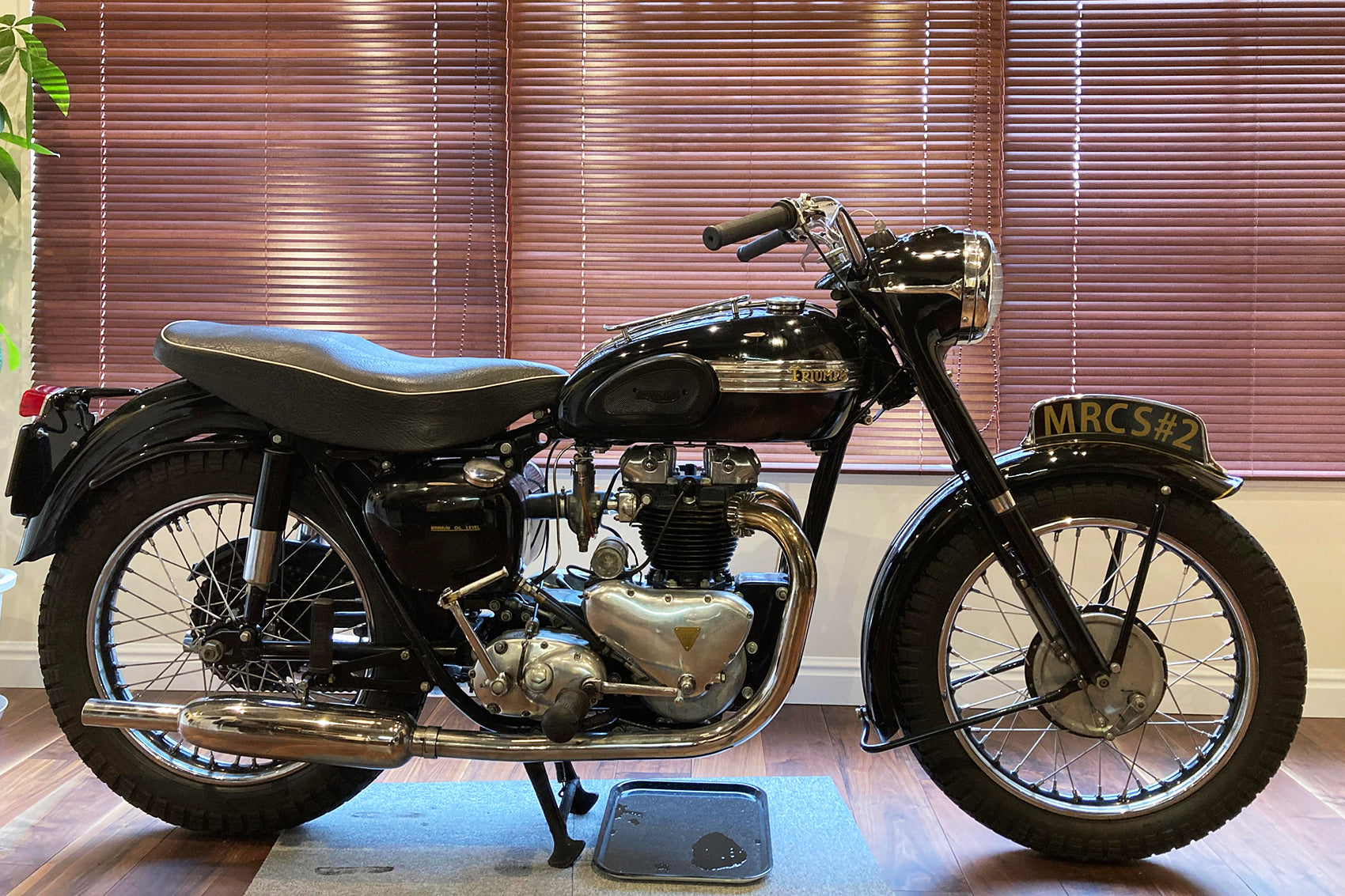 Triumph 6T Black Bird