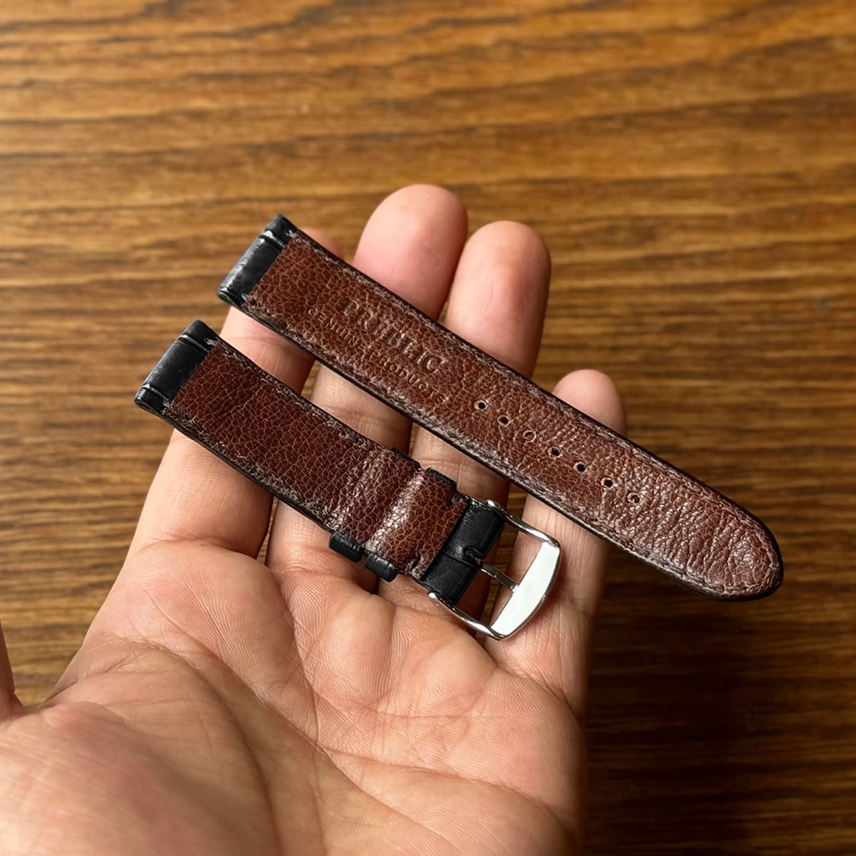 NOTTS - Crocodile col.Black